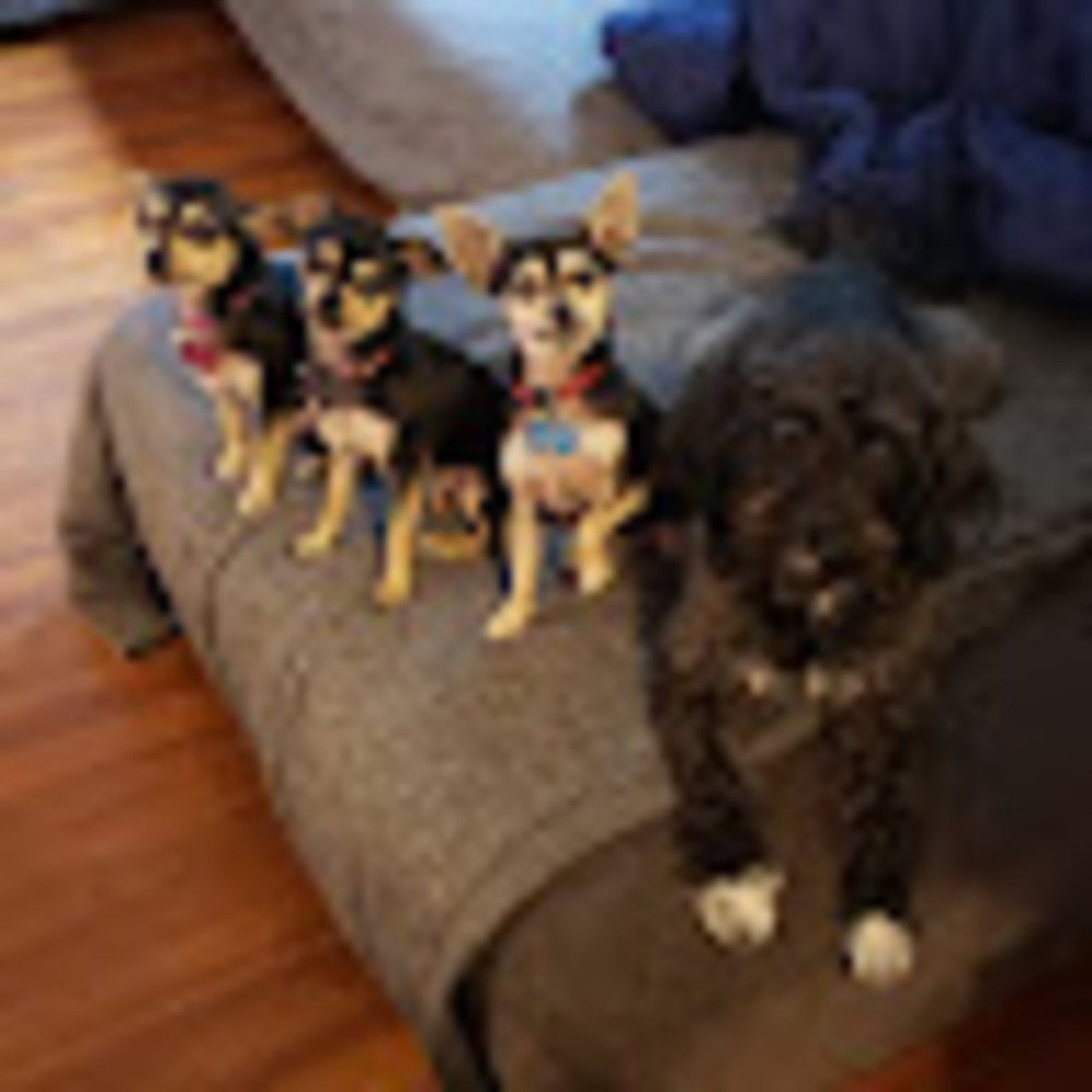 Meet your Posher, Natasha